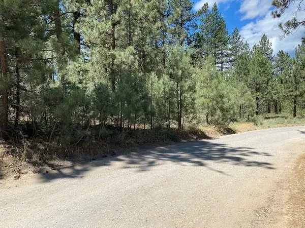 $7,500 | 200 Idle Hour Drive, Portola, CA 96122