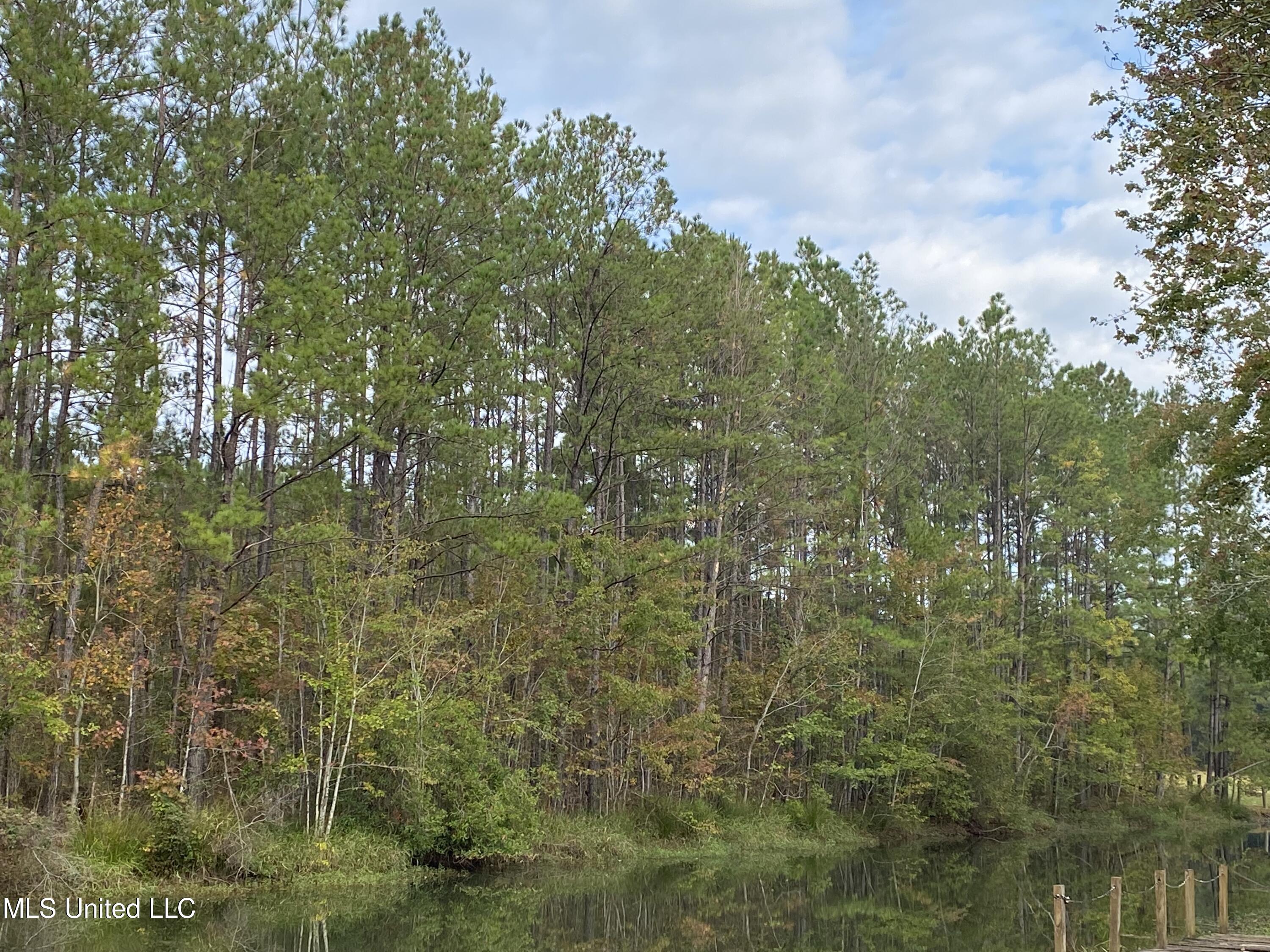 Rock Ranch Road Picayune, MS 39466 - Photo 4 of 6 2