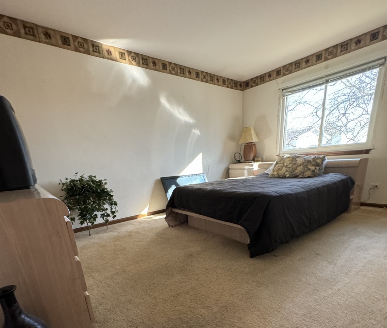 209 Churn Road Matteson, IL 60443 - Photo 17 of 26 a bedroom with a bed plant and window