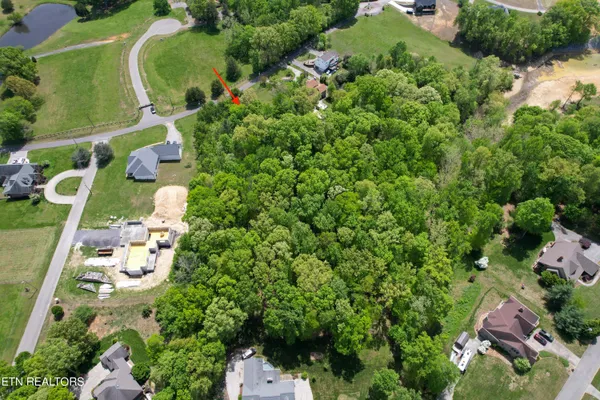 $150,000 | Lot 37 McCorkle Road, White Pine, TN 37890