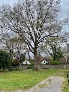 249 Lauderdale Road Nashville, TN 37205 - Photo 2 of 17 a view of a park with large trees
