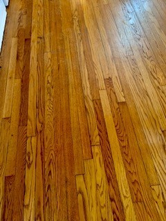 249 Lauderdale Road Nashville, TN 37205 - Photo 8 of 17 a bathroom with a shower curtain