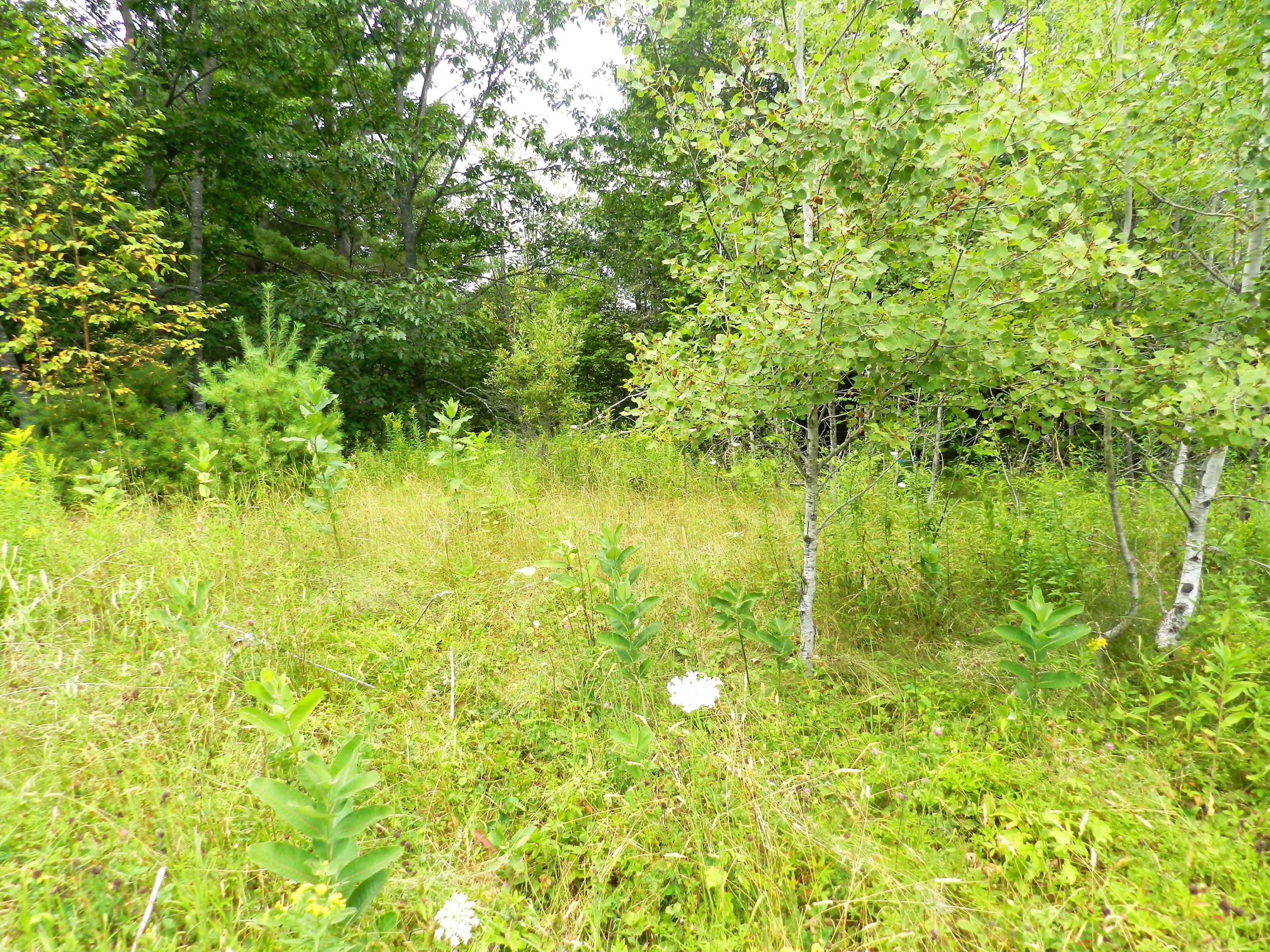 579 West Etna Road Etna, ME 04434 - Photo 9 of 10 9