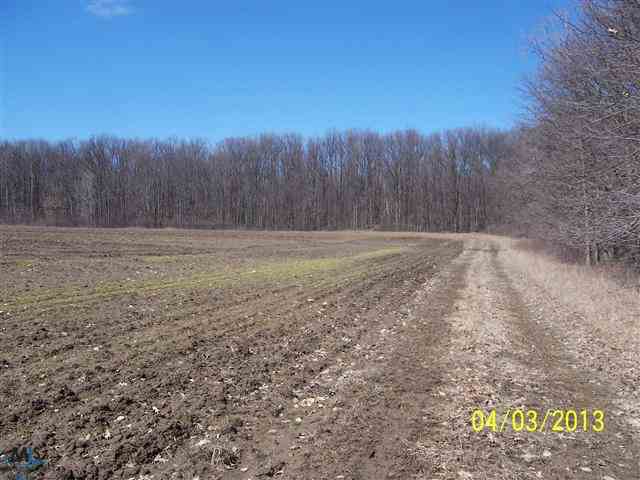 0 Foley Emmett, MI 48022 - Photo 1 of 3 31142213.JPG