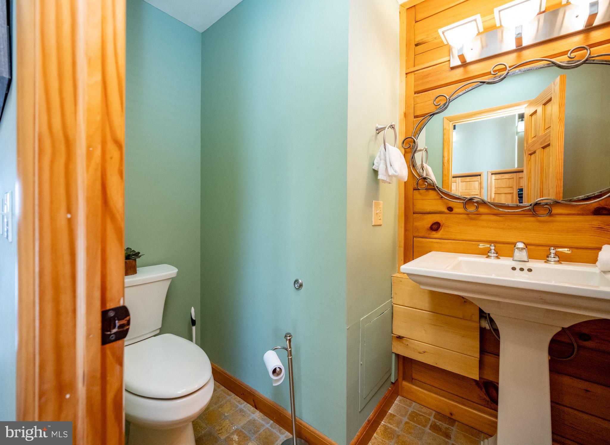 615 Sandy Shores Road Oakland, MD 21550 - Photo 26 of 103