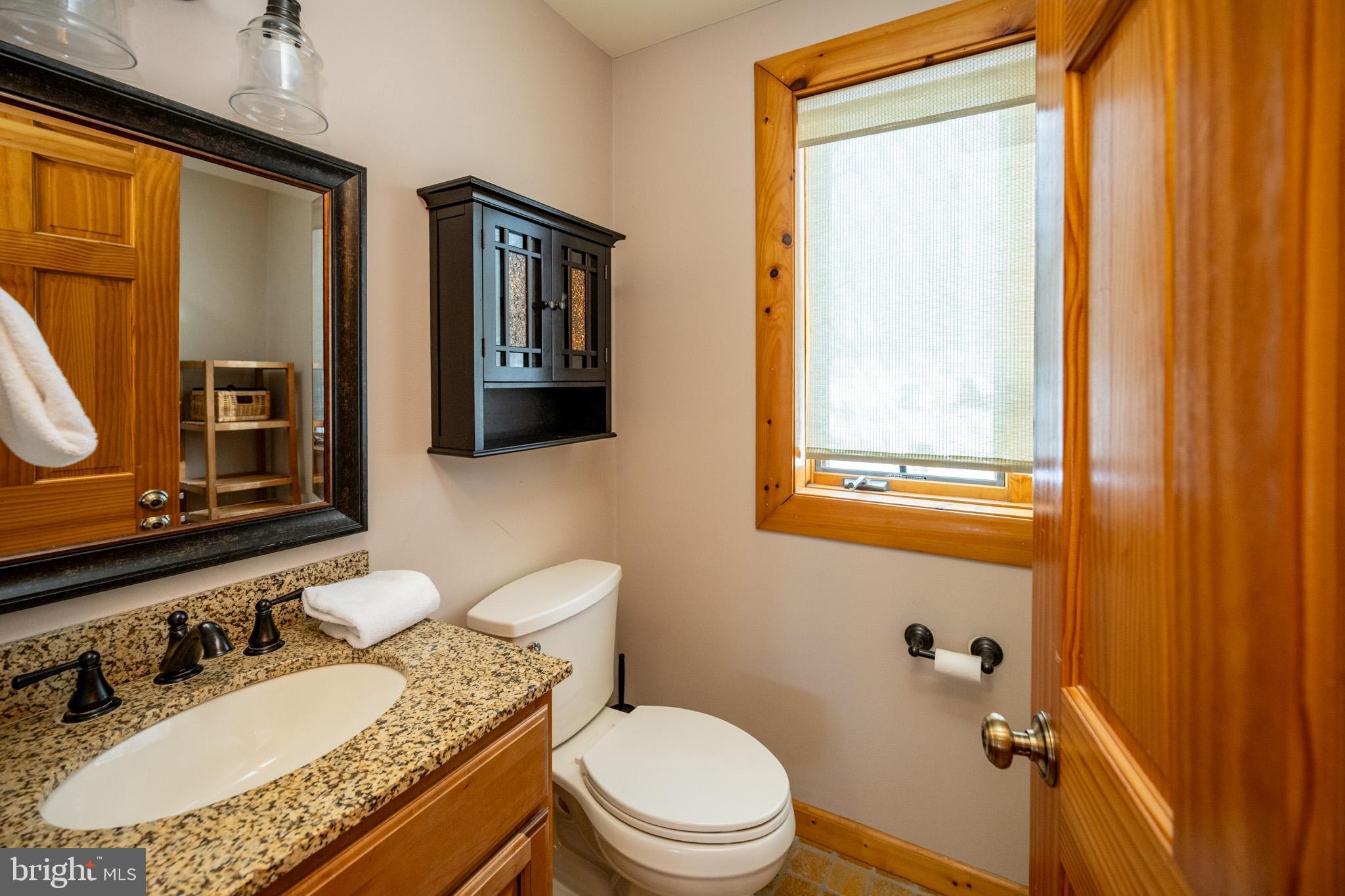 615 Sandy Shores Road Oakland, MD 21550 - Photo 50 of 101