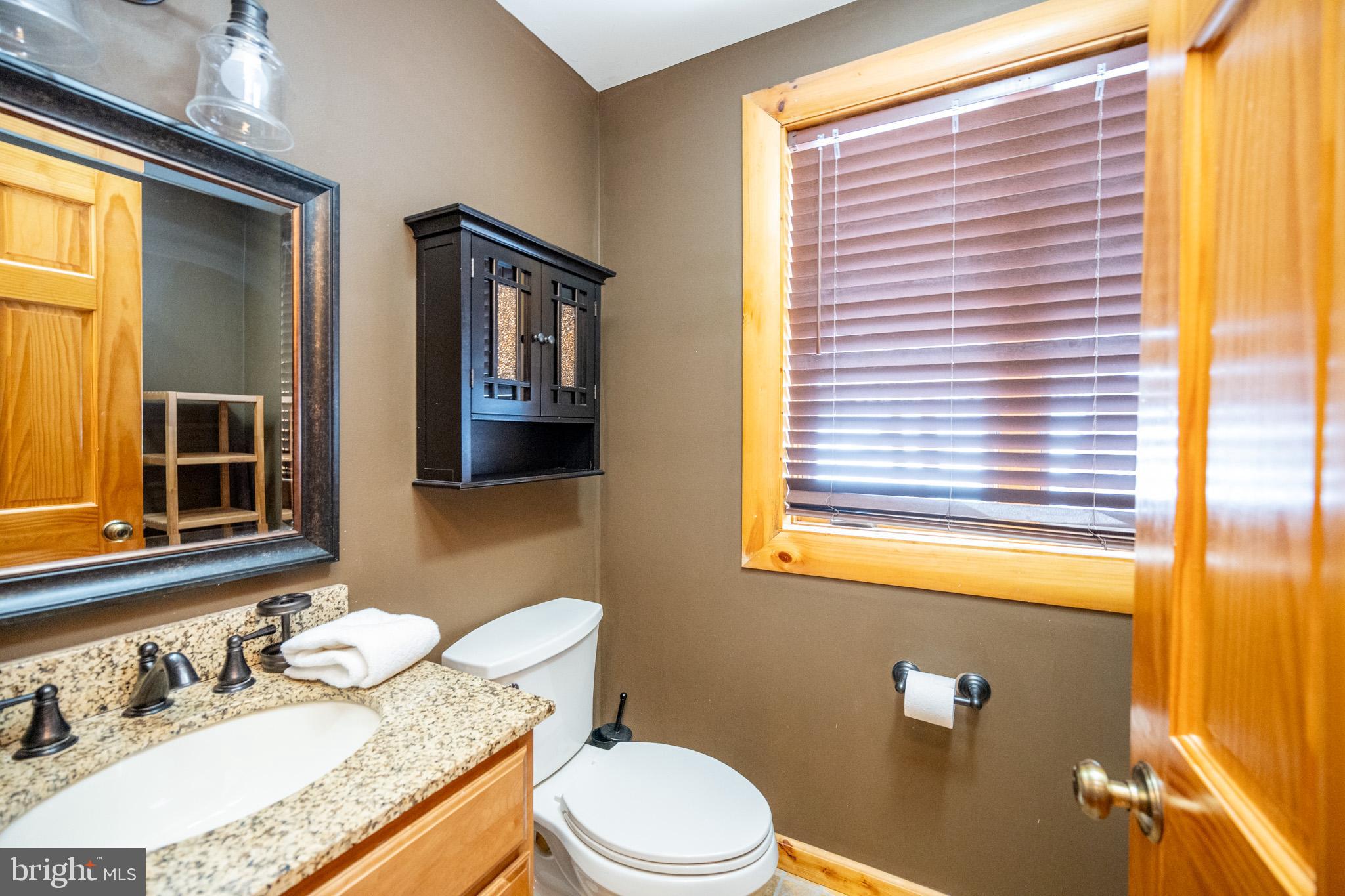 615 Sandy Shores Road Oakland, MD 21550 - Photo 53 of 103