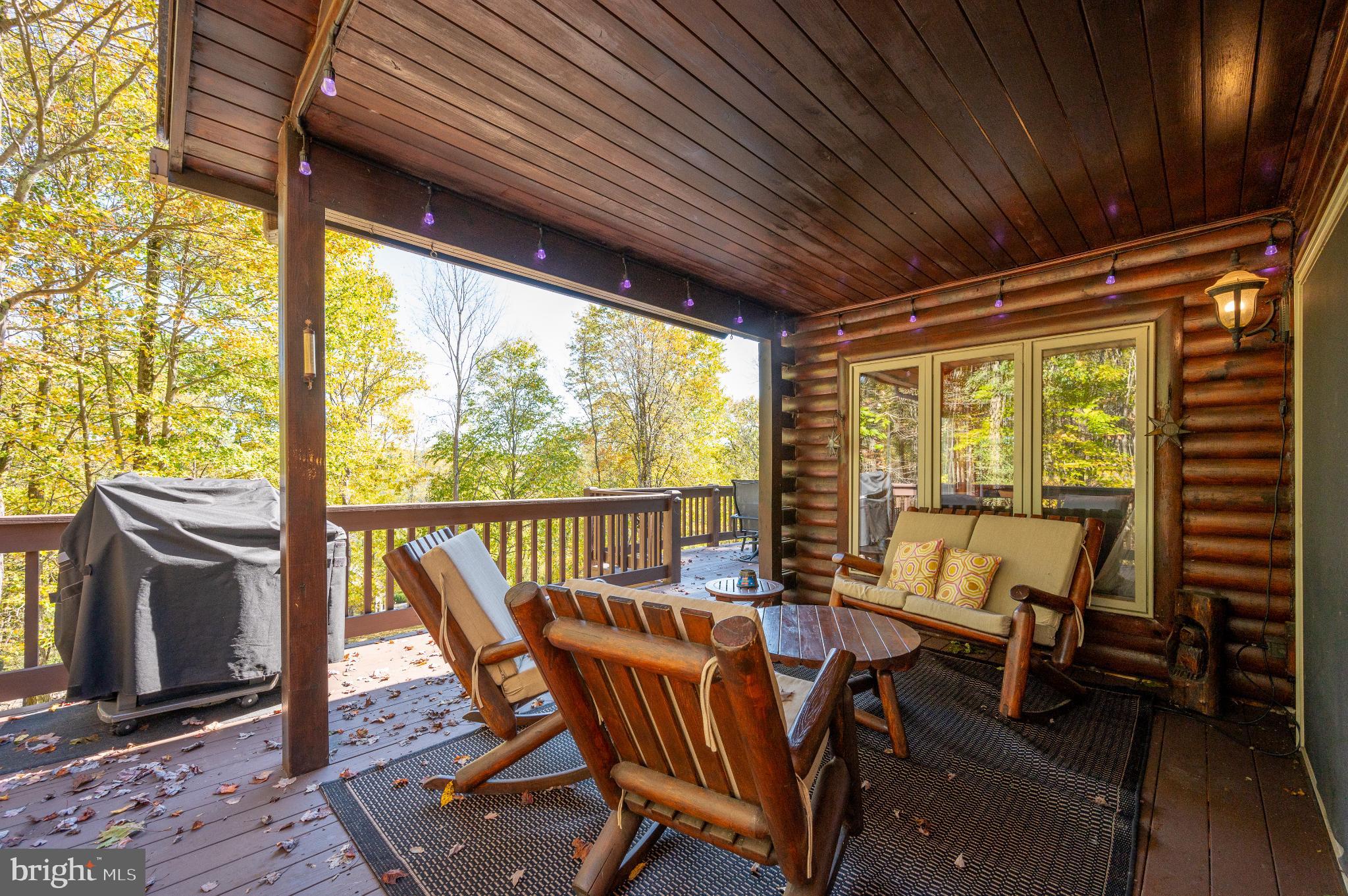 615 Sandy Shores Road Oakland, MD 21550 - Photo 81 of 103 Cozy log cabin porch with autumn views.