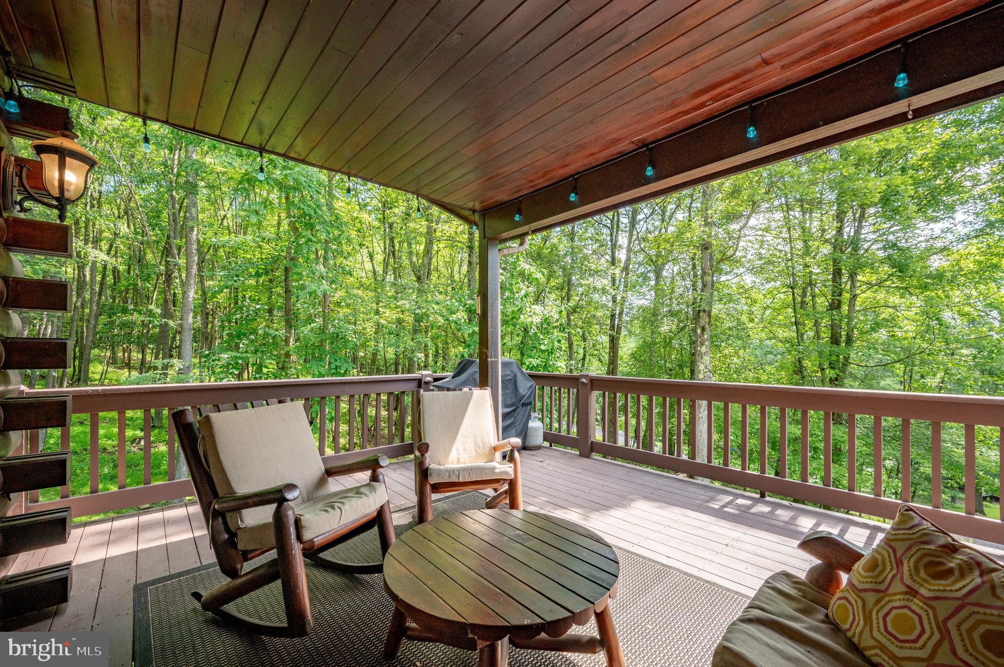 615 Sandy Shores Road Oakland, MD 21550 - Photo 82 of 103 Serene deck overlooking lush greenery.