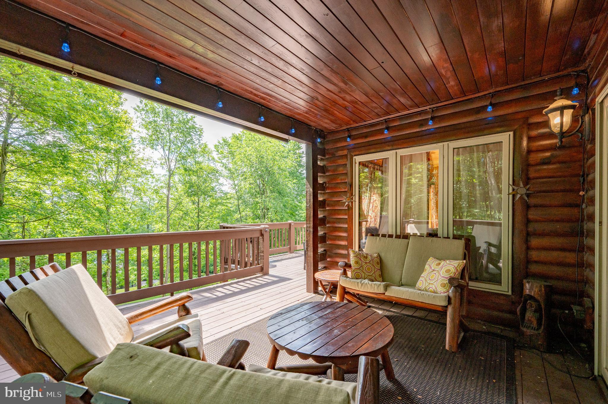 615 Sandy Shores Road Oakland, MD 21550 - Photo 83 of 103 Serene log cabin porch with lush greenery.