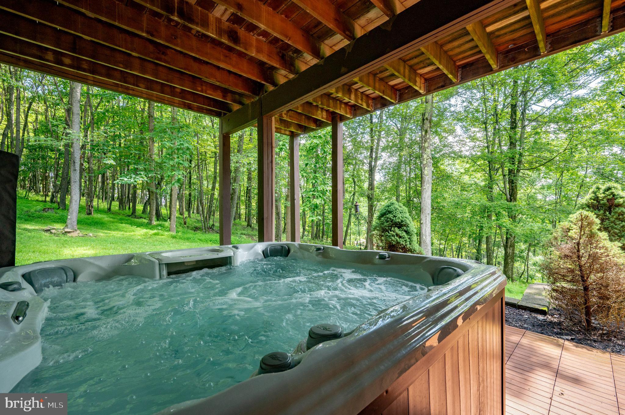 615 Sandy Shores Road Oakland, MD 21550 - Photo 88 of 103 Serene retreat with a bubbling hot tub.