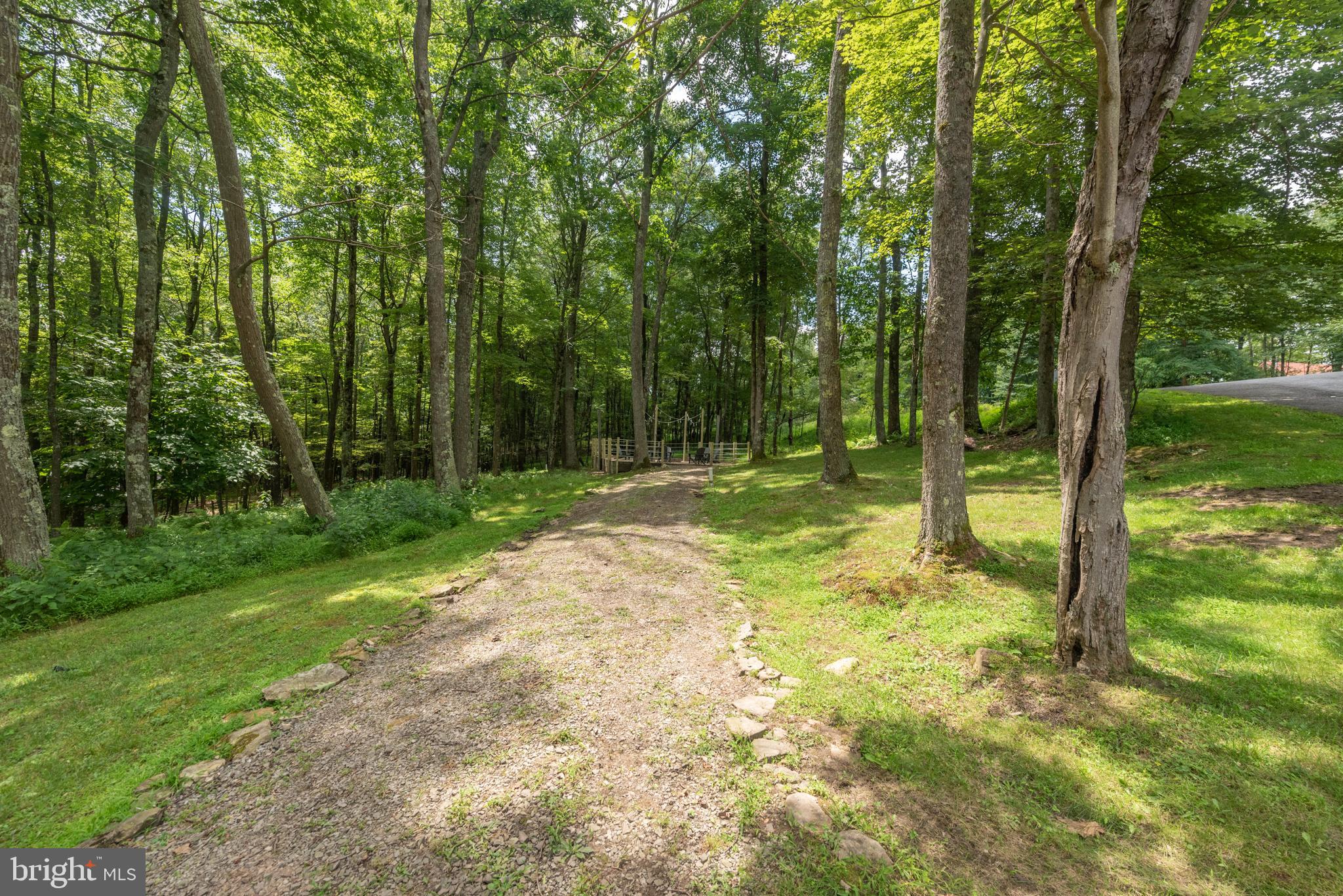 615 Sandy Shores Road Oakland, MD 21550 - Photo 98 of 103 Private wooded lot