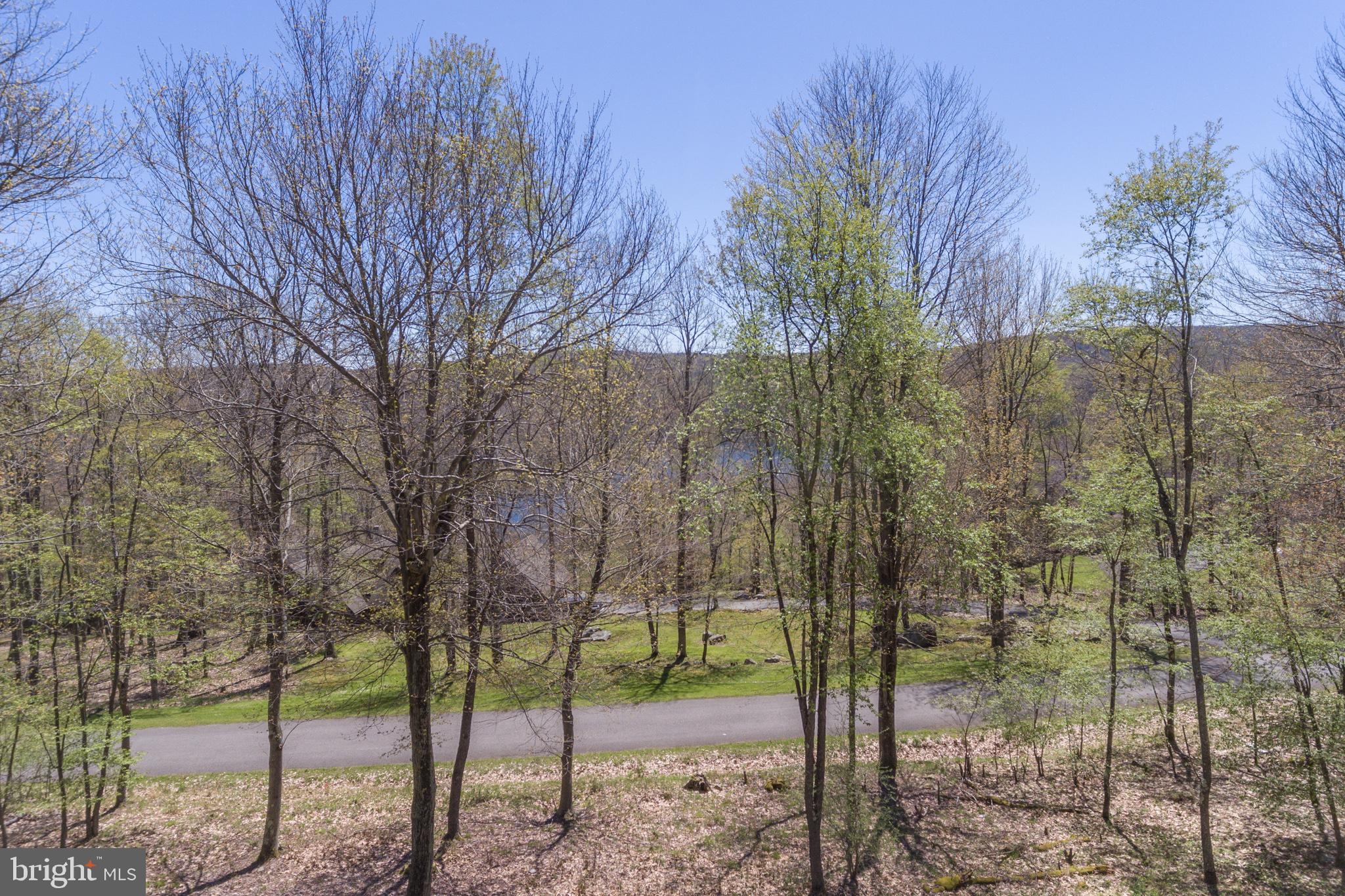 615 Sandy Shores Road Oakland, MD 21550 - Photo 100 of 103 Seasonal filtered lake view