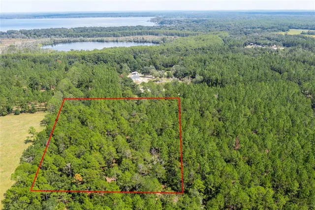 a view of a lush green forest with trees and houses