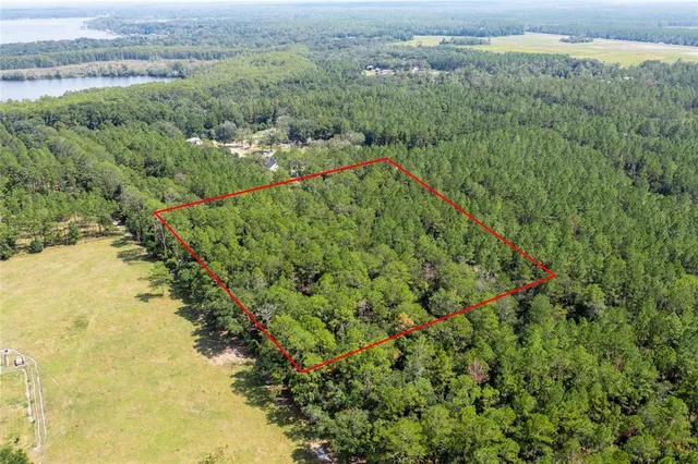 a view of a lush green forest with a lake