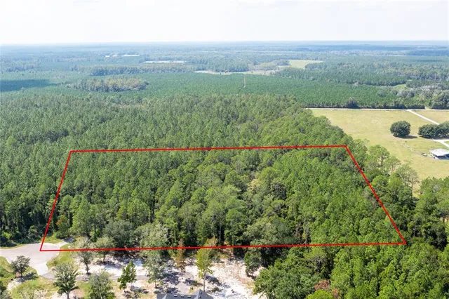 a view of a bench in the garden near a lake