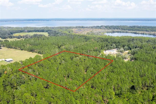 a view of a lush green forest with a lake