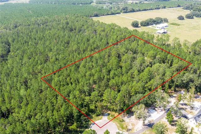 a view of a lake from a yard