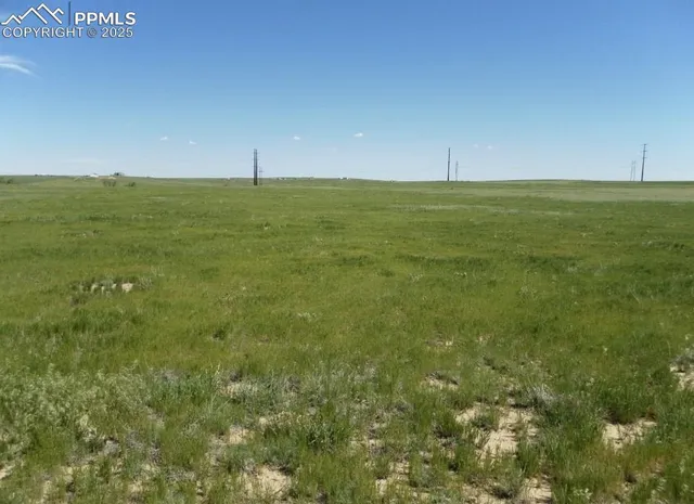 a view of a field with an ocean