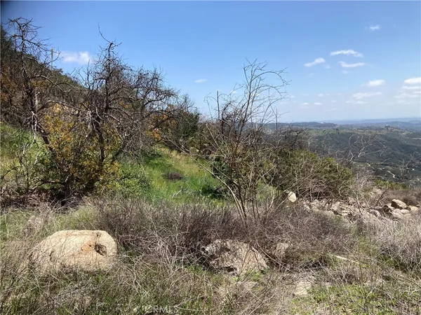 a view of a backyard of the house