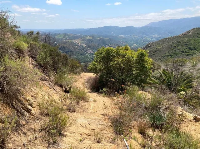 a view of a mountain in the distance in a field