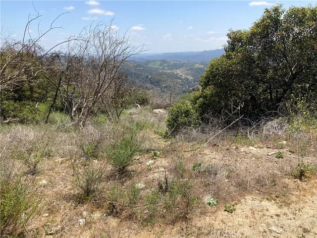 a view of a yard with a tree