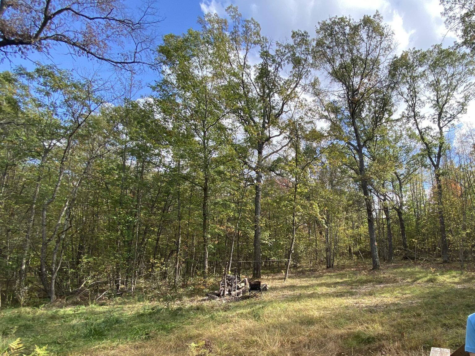 11643 Willow Road Bitely, MI 49309 - Photo 2 of 4 1