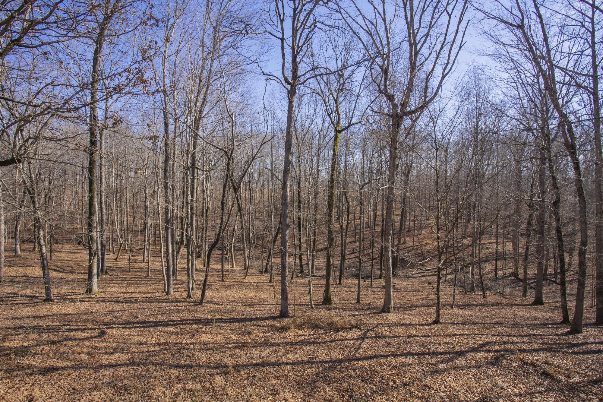 1300 Ridge Road Dickson, TN 37055 - Photo 49 of 60 a view of a backyard of the house