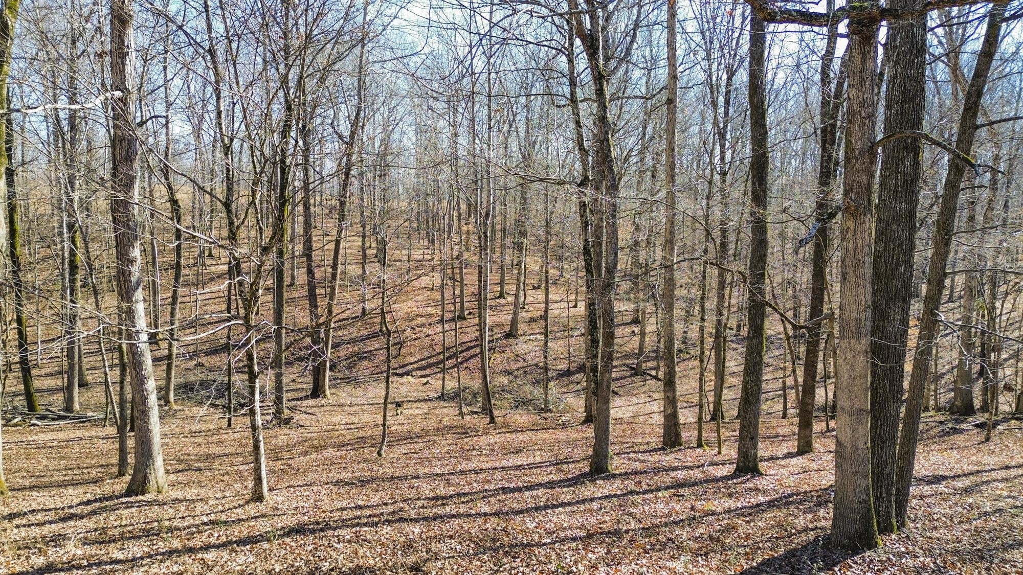 1300 Ridge Road Dickson, TN 37055 - Photo 50 of 60 a backyard of a house with lots of green space