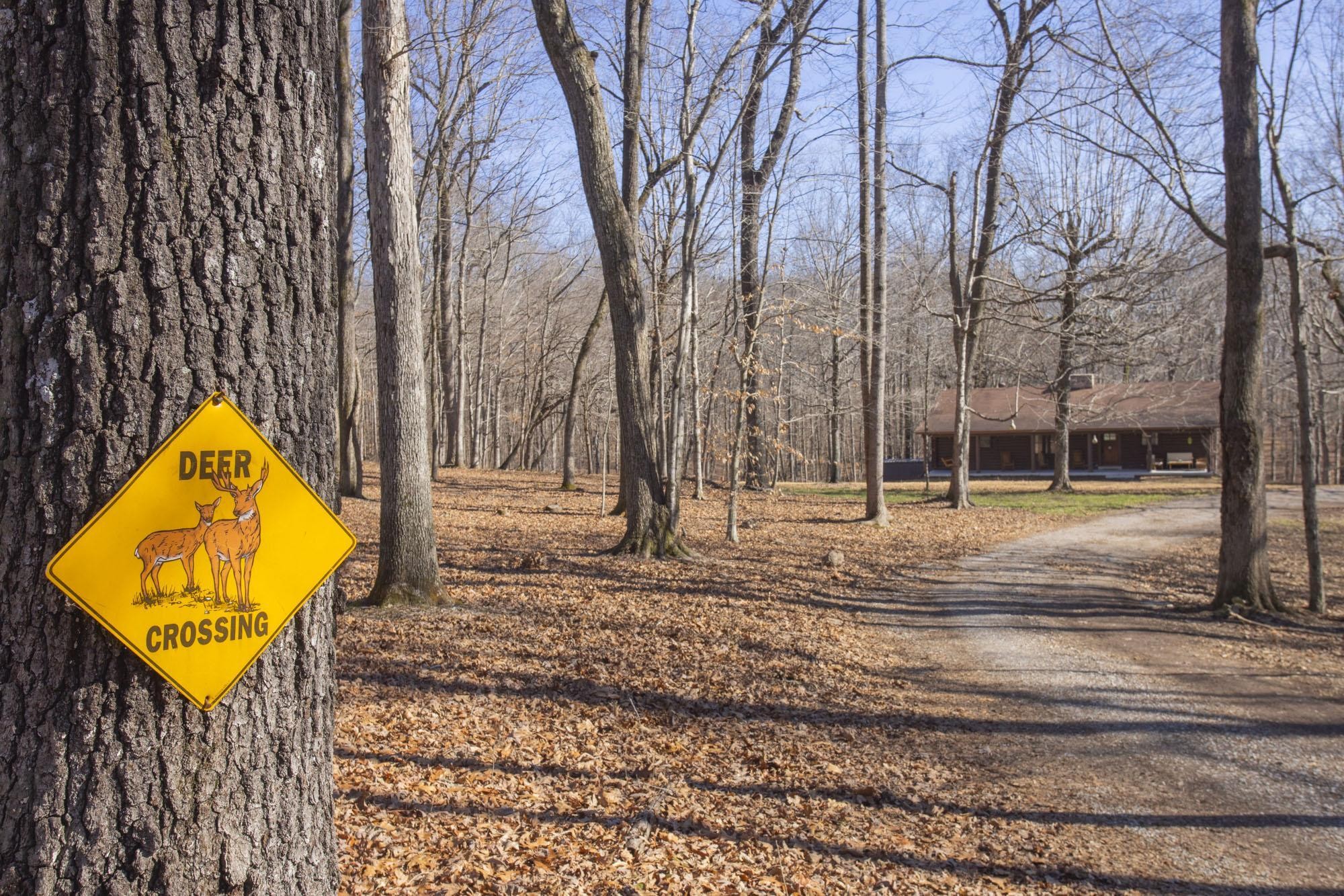 1300 Ridge Road Dickson, TN 37055 - Photo 52 of 60