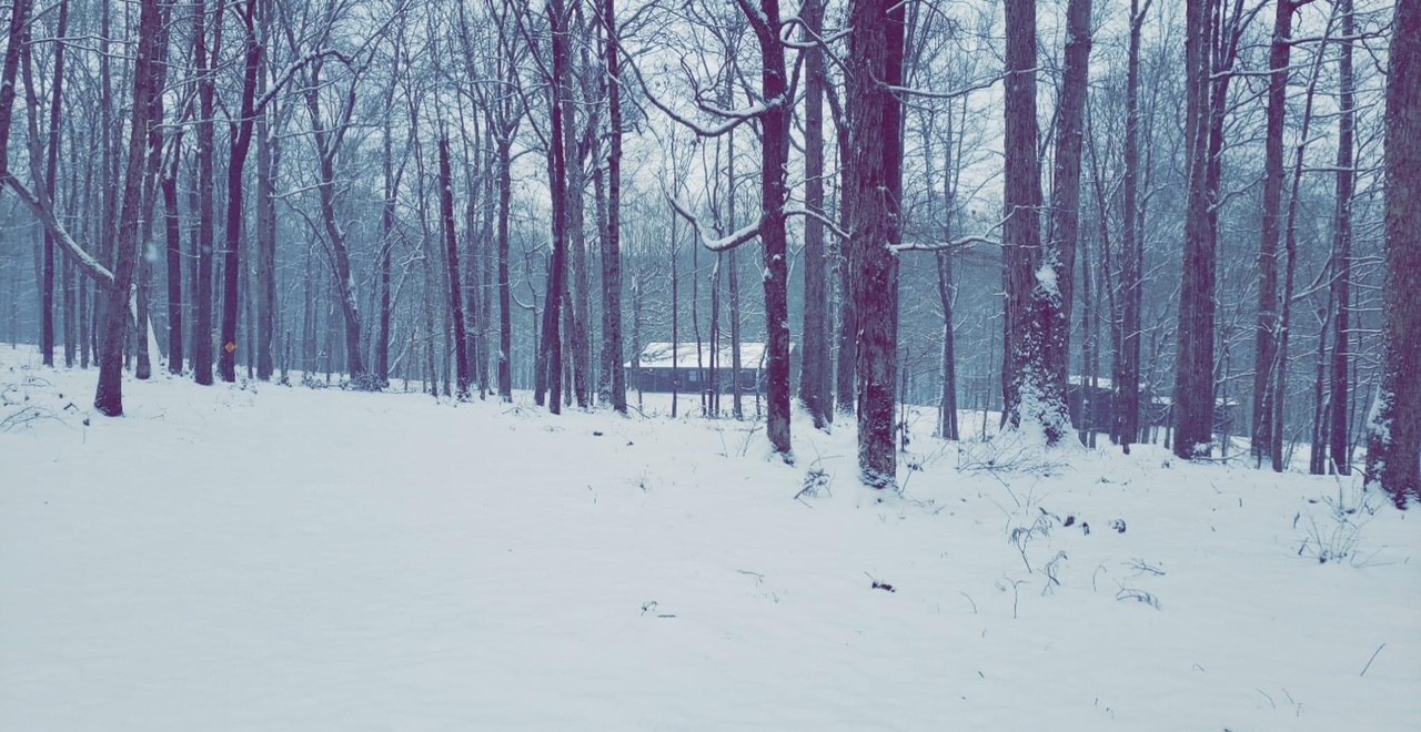 1300 Ridge Road Dickson, TN 37055 - Photo 63 of 64 a view of rack