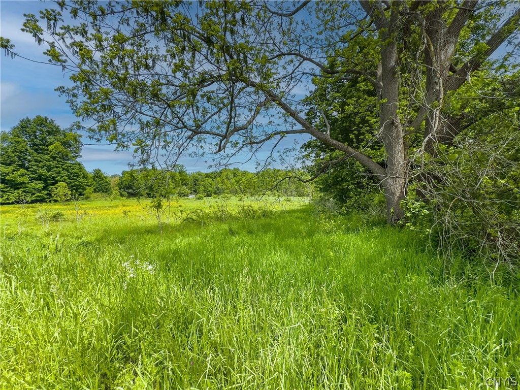 4 County Route Fulton, NY 13069 - Photo 27 of 37