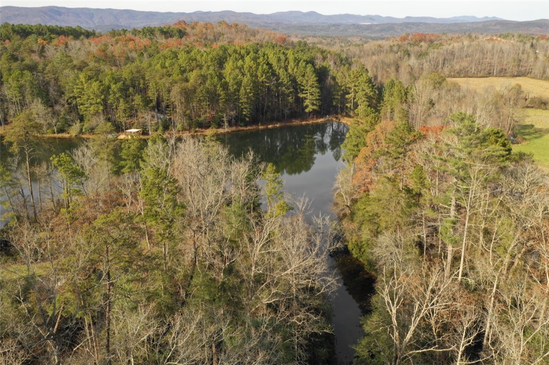 0 North Little River Road Tamassee, SC 29686 - Photo 3 of 8 Gallery Image 3