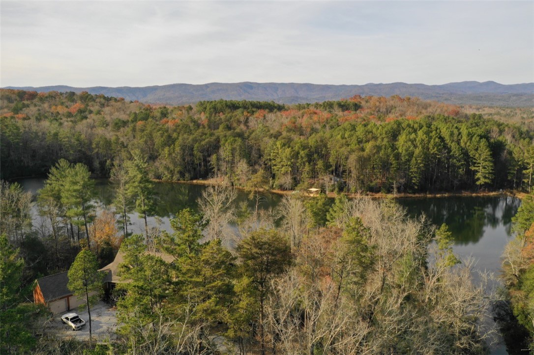 0 North Little River Road Tamassee, SC 29686 - Photo 6 of 8 Gallery Image 6