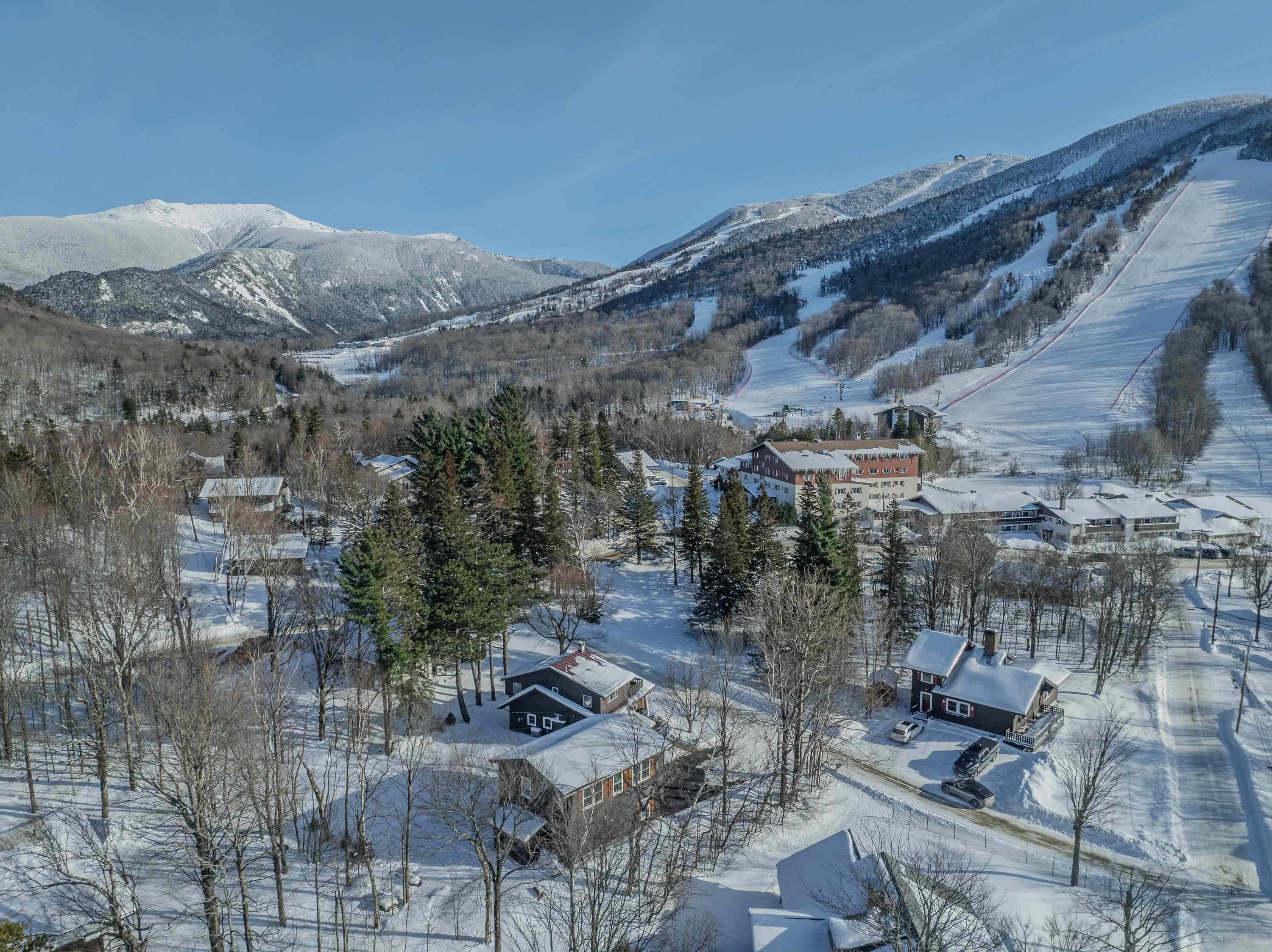 37 Pioneer Road Franconia, NH 03580 - Photo 6 of 58