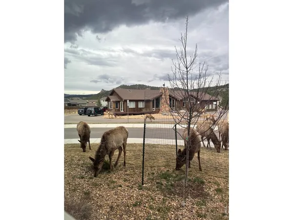 $779,000 | 1728 Continental Peaks Circle, Estes Park, CO 80517