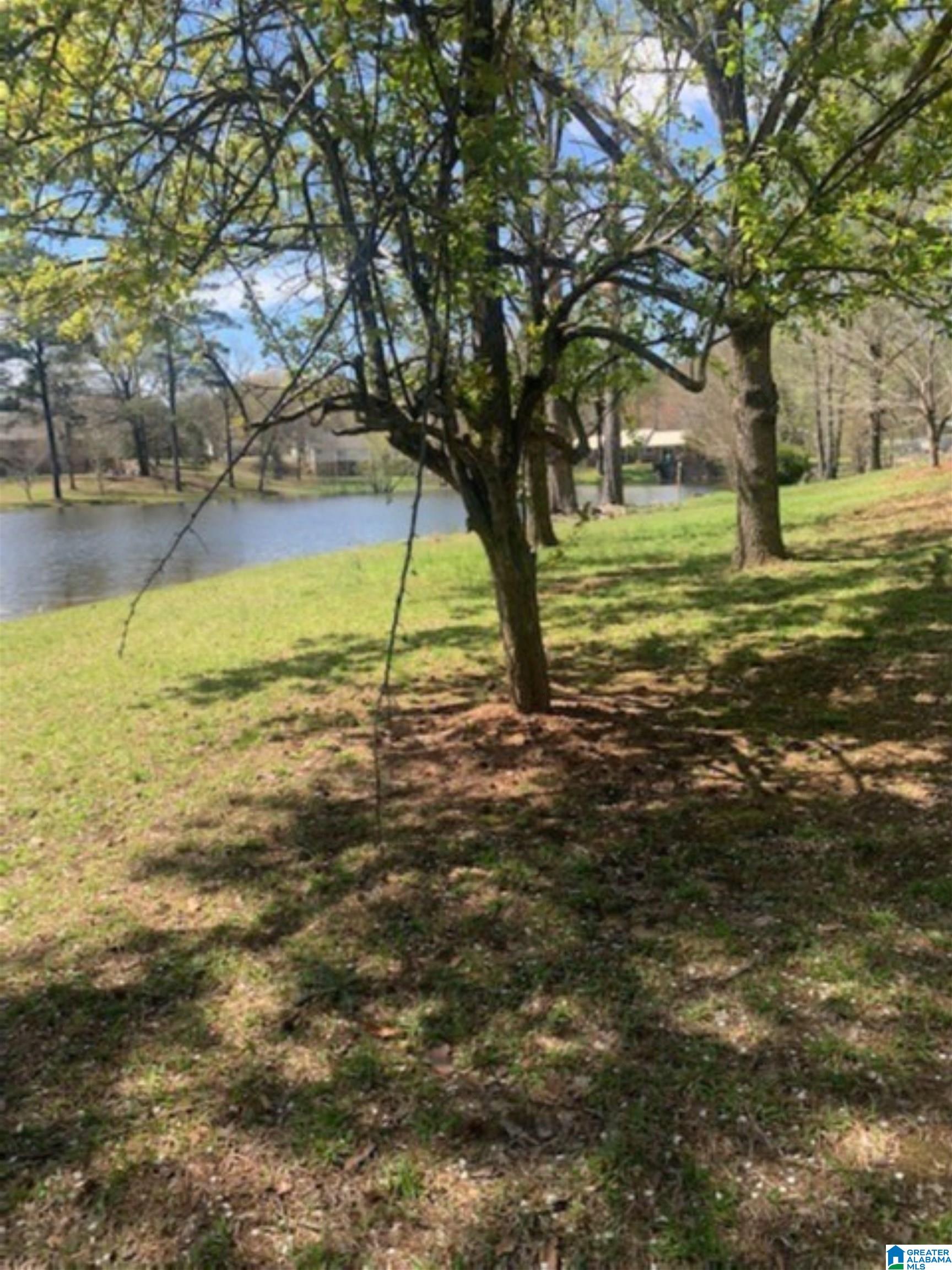 525 Mountainview Lake Road Sylacauga, AL 35150 - Photo 12 of 13