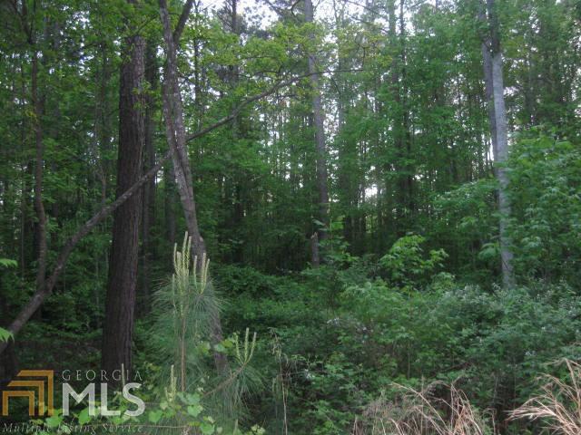 1031 South Bridge Road, Unit TRACT 3A Franklin, GA 30217 - Photo 1 of 1