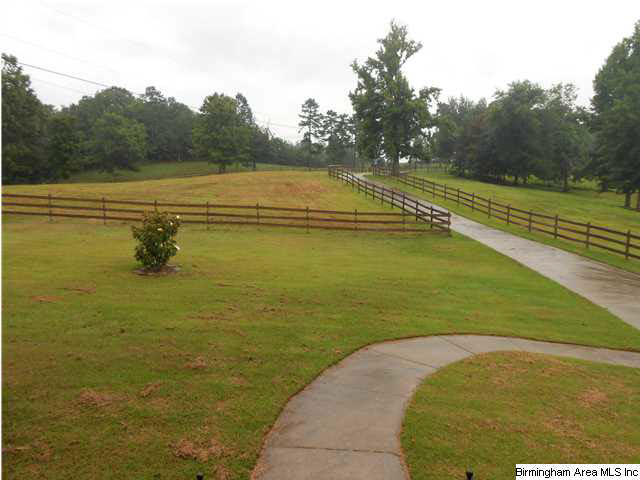 7015 Co Highway 24 Oneonta, AL 35121 - Photo 15 of 30