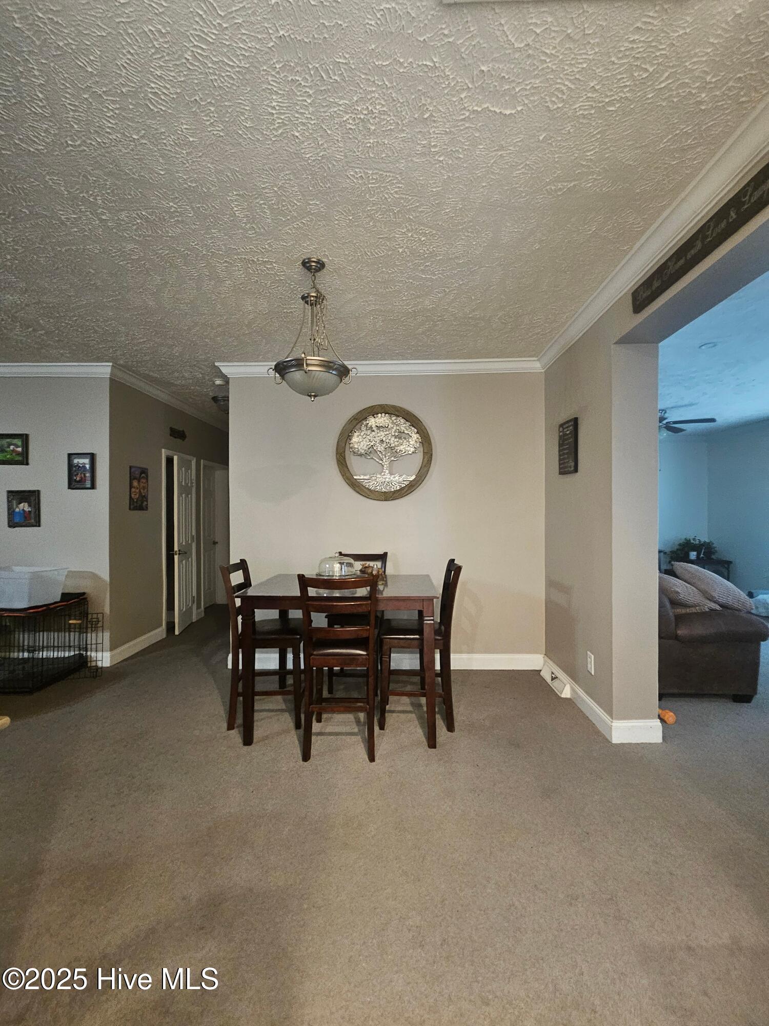 742 Big Branch Road Delco, NC 28436 - Photo 23 of 24 Image 23
