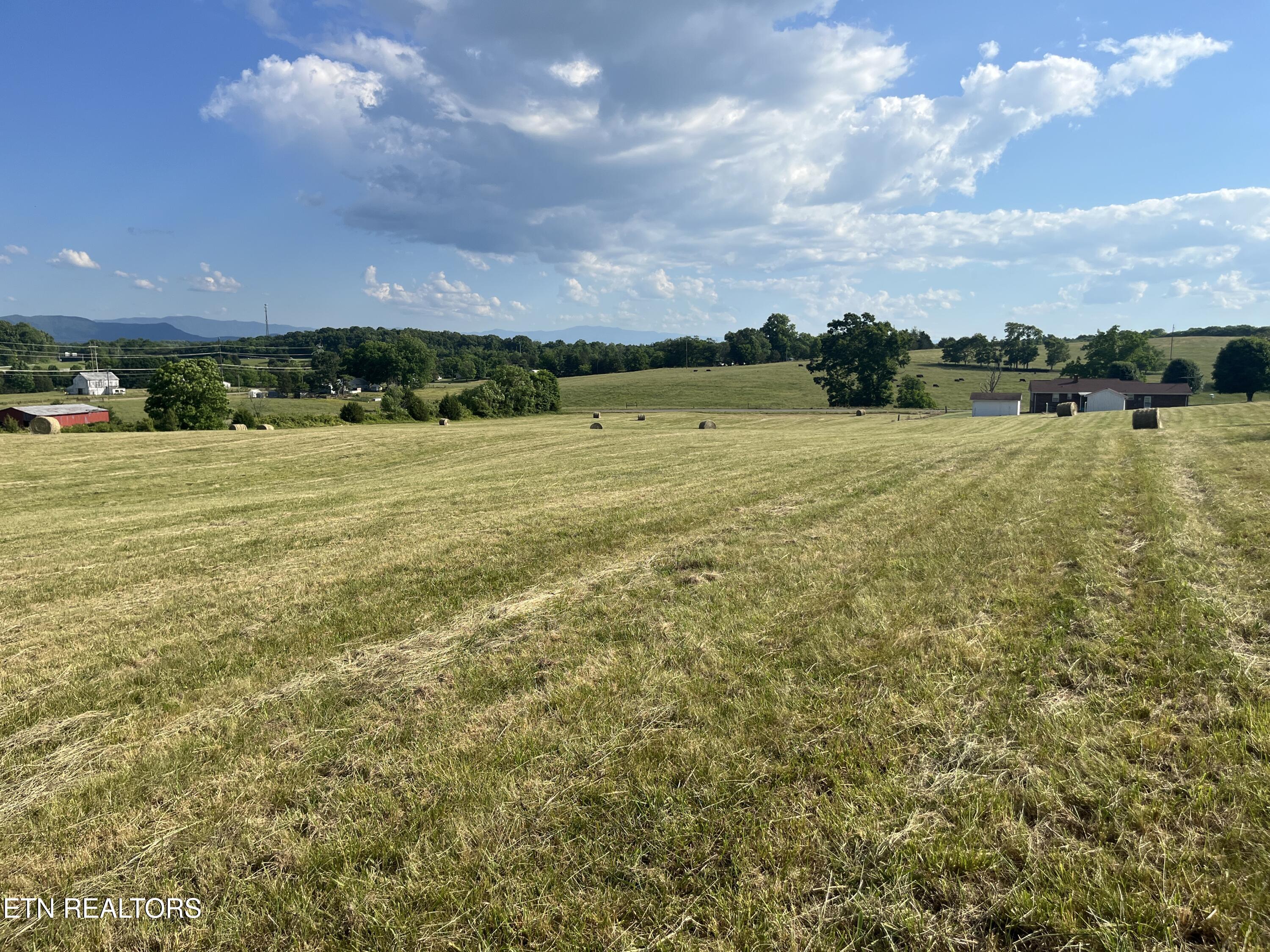 9.32 Acres Off Sam Martin Road Dandridge, TN 37725 - Photo 12 of 26 10