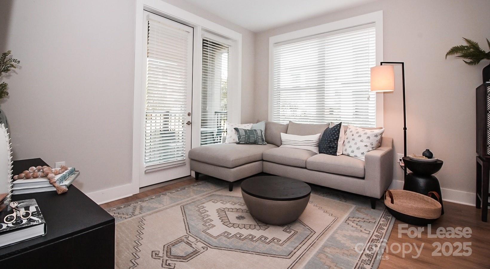 6408 Providence Farm Lane, Unit B2 Charlotte, NC 28277 - Photo 23 of 44 a living room with furniture a rug and a window