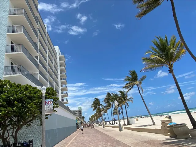 a view of a palm tree in front of a building