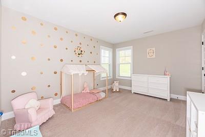 581 Juney Beauchamp Road Advance, NC 27006 - Photo 21 of 28 Gallery Image 21