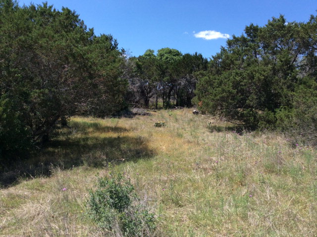 0 Deer Park Drive, Unit 14 Spring Branch, TX 78070 - Photo 1 of 1 Main View