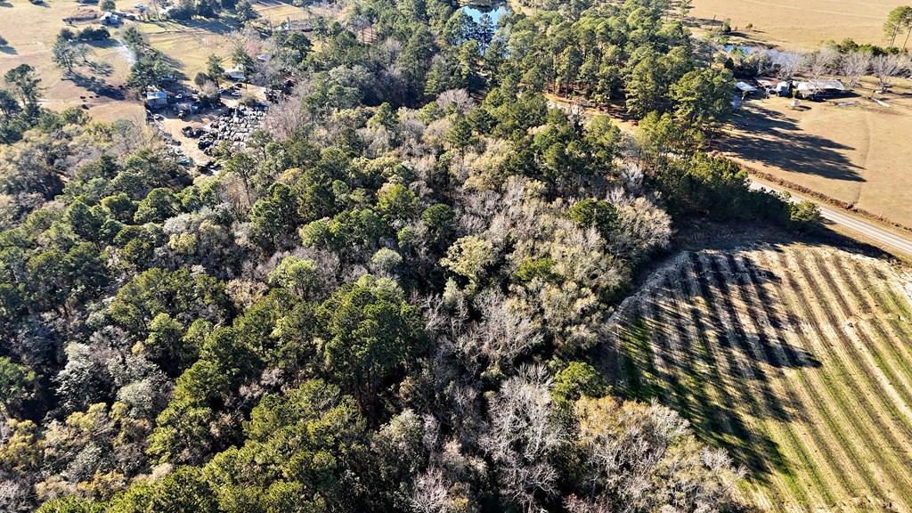 0 Tired Creek Road Whigham, GA 39897 - Photo 2 of 15 Gallery Image 2