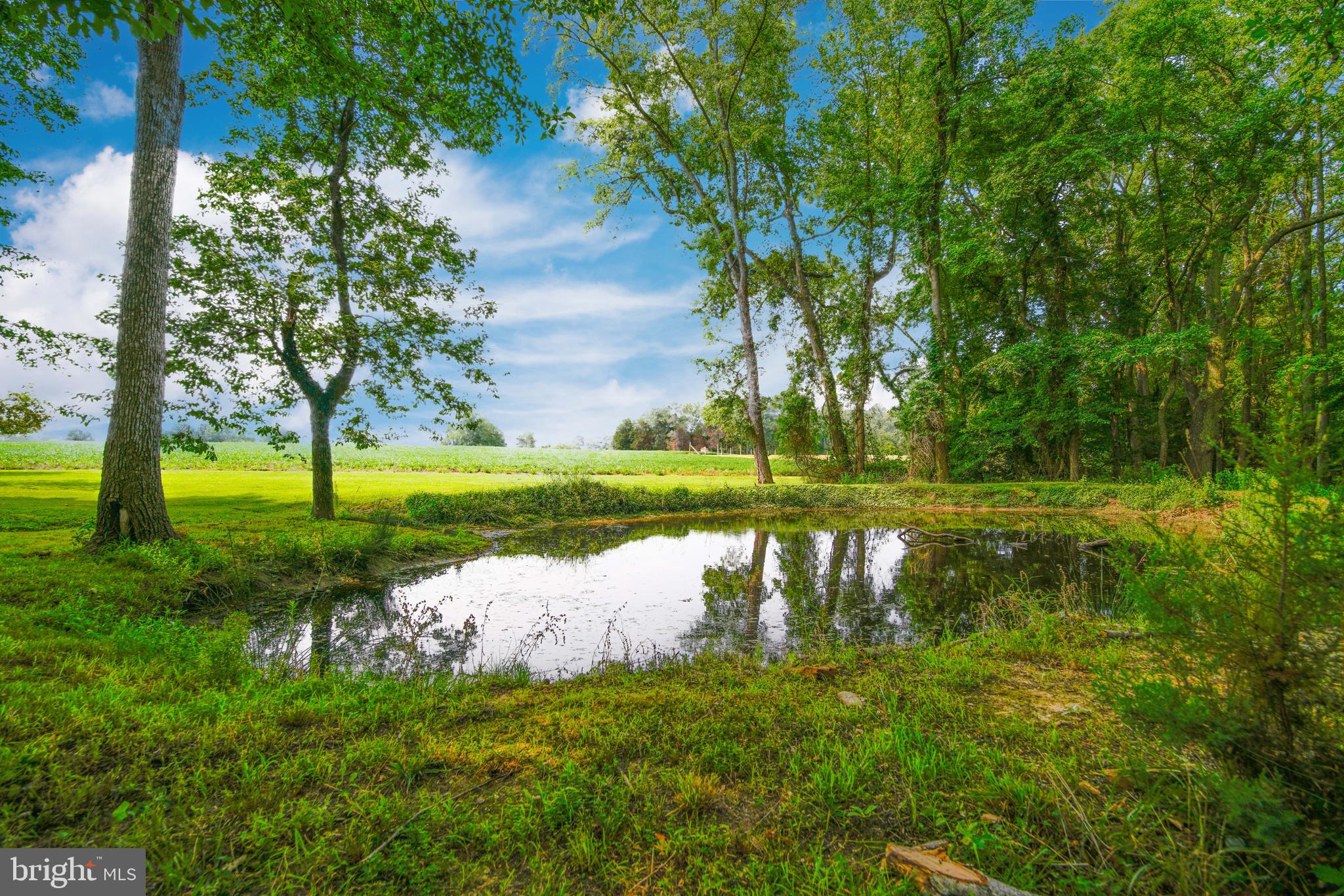 20455 Bowles Road Coltons Point, MD 20626 - Photo 10 of 65 a view of a lake with a large trees