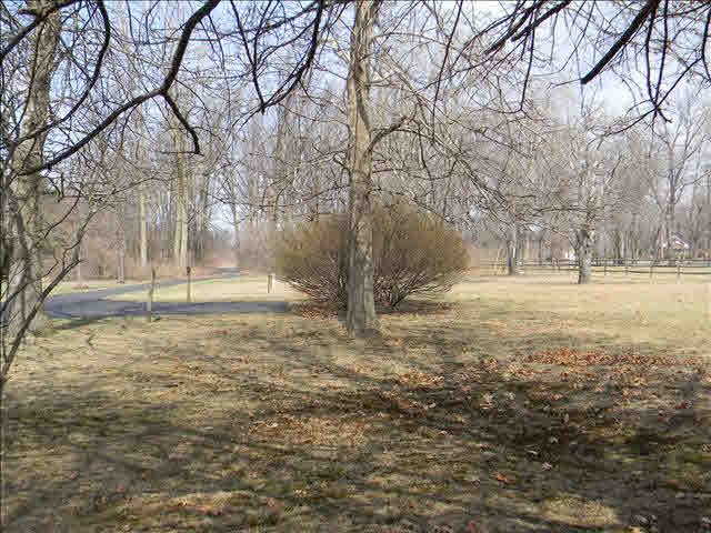 3757 West Erie Road Temperance, MI 48182 - Photo 12 of 12 Front yard