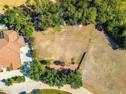 a view of a yard with plants and a bench