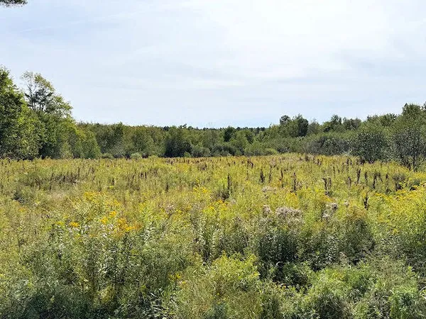 $197,400 | 0 Trues Pond Road, Liberty, ME 04949